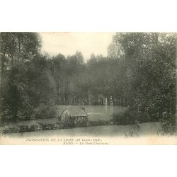 41 BLOIS. Inondation de la Loire en 1907. Les Ponts Chartrains