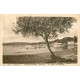 2 x cpa 33 LACANAU-OCEAN. Villas 1938 et Plage du Moutchic