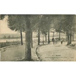 41 BLOIS. Attelage Boulevard Daniel-Dupuis et la Loire 1916