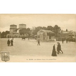 41 BLOIS. Le Château d'Eau et Grande Pièce