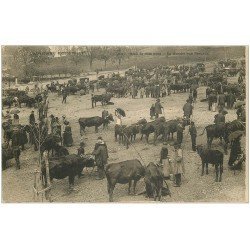 carte postale ancienne 15 AURILLAC. Le Marché aux Bestiaux. Maquignons et Vaches vers 1900