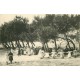 44 PEN BRON. Rondes autour des Sapins 1907