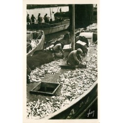 29 DOUARNENEZ. Pêcheurs triant le Poisson sur les bateaux de Pêche