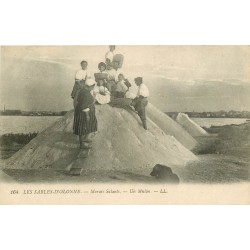 85 LES SABLES D'OLONNE. Paludiers et Paludières sur un Mulon dans les Marais Salants