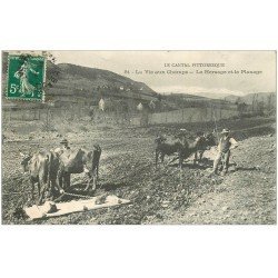 carte postale ancienne 15 AUVERGNE. Hersage et Planage. La Vie aux Champs avec Paysans et Boeufs vers 1910