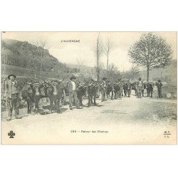 15 AUVERGNE. Retour des Champs. Paysans et Boeufs