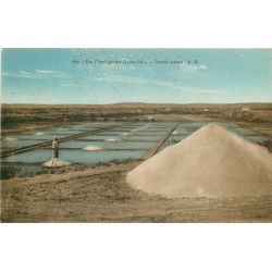 44 LE POULIGUEN. Paludier et mulons dans les Marais salants