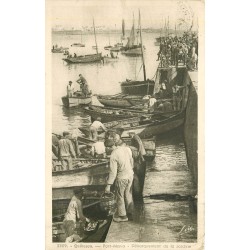 56 QUIBERON. Débarquement de la Sardine au Port-Maria 1948
