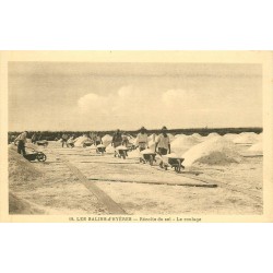 83 LES SALINS D'HYERES. Le roulage pour la Récolte du sel