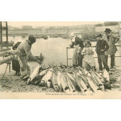 29 CONCARNEAU. Le Port et la Pêche du Thon avec le débarquement du Poisson sur la Digue