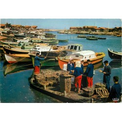 Photo Cpsm 33 ARCACHON. Le Triage des Huîtres dans le Bassin Ostréicole 1967