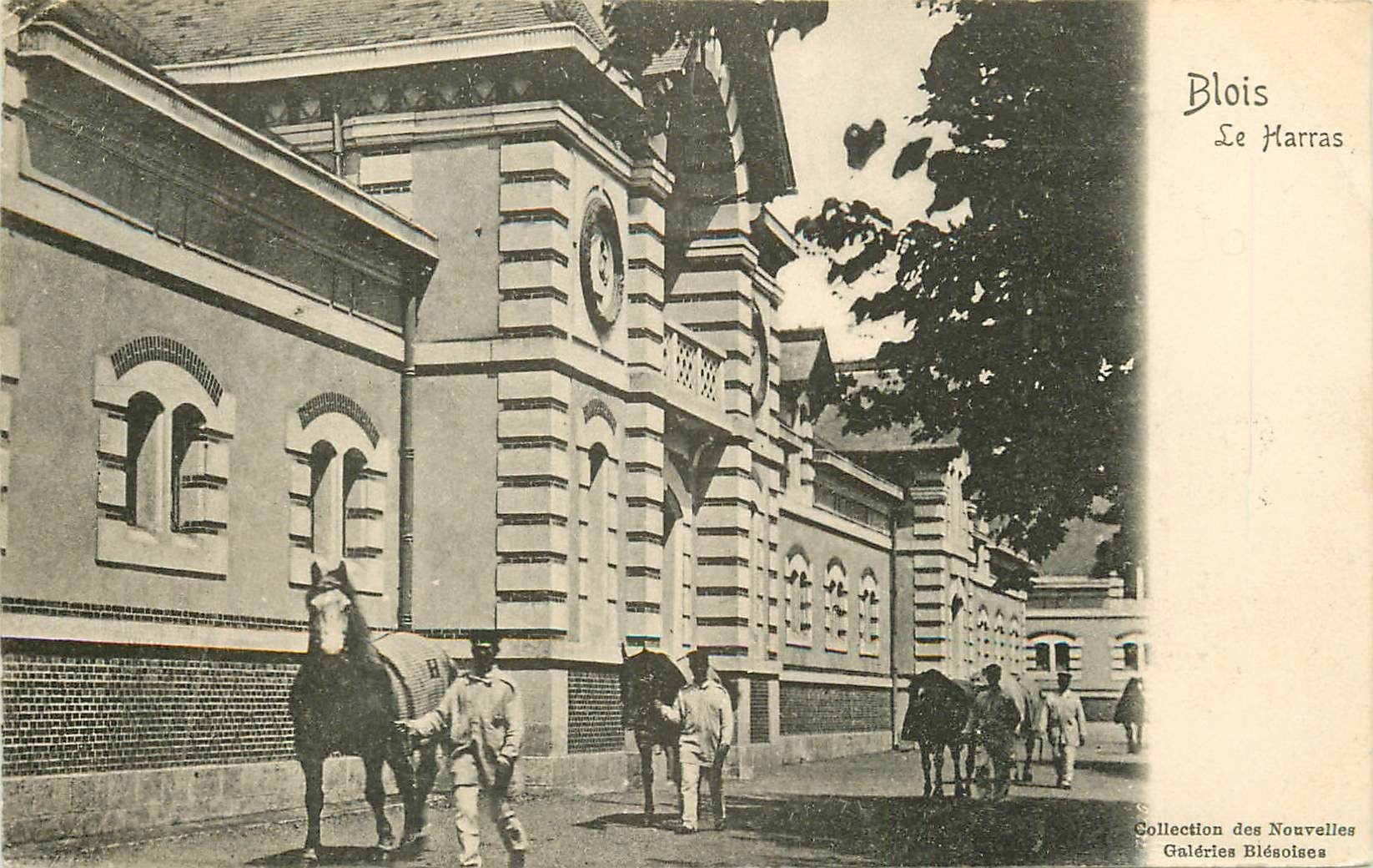 41 BLOIS. Le Haras avec Lads et Chevaux 1908