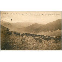 carte postale ancienne 15 LE LIORAN. 1924 Une Vacherie dans les Pâturages en Montagne