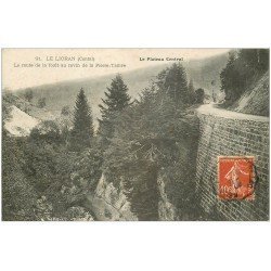 carte postale ancienne 15 LE LIORAN. Route Ravin de la Pierre Taillée 1909. Le Plateau Ceentral