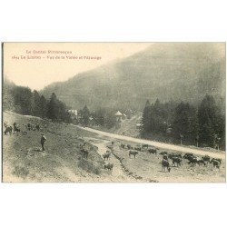 carte postale ancienne 15 LE LIORAN. Vallée et Pâturage. Berger et Vaches