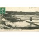 44 LES MARAIS SALANTS. La Récolte du Sel 1911