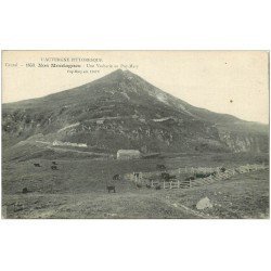 carte postale ancienne 15 PUY-MARY. Une Vacherie 1916