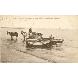 80 CAYEUX-SUR-MER. Le Débarquement du Poisson 1933