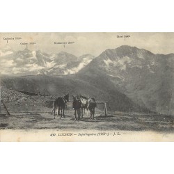 31 LUCHON. Chevaux de randonnées et vue sur Superbagnères 1914