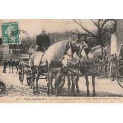 02 VILLERS-COTTERETS. Equipage Menier dans la Forêt et vue du Break de Chasse à Puiseaux 1908