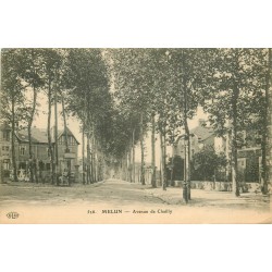 77 MELUN. Avenue de Chailly