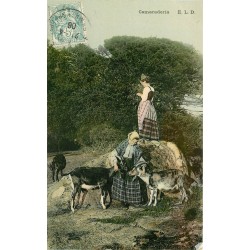 PAYSANS. Camaraderie entre Bouquetières Chevrières et Chèvres 1906