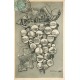 95 ARGENTEUIL. Multi-vues sur feuille de vigne 1905