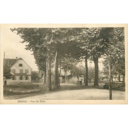 67 RHINAU. Vue du Rhin avec Auberge