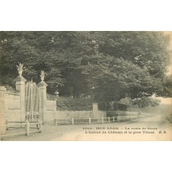 95 L'ISLE ADAM. Tilleul à l'Entrée du Château route de Stors 1920