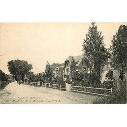 78 POISSY. Allée Centrale Ile de Migneaux 1915