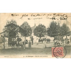 18 BOURGES. Marché aux bestiaux 1904