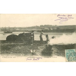 29 LE CONQUET. Brûlage du Goëmon 1906