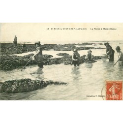 44 SAINT-MICHEL CHEF CHEF. La Pêche aux Crustacés à Marée Basse 1919