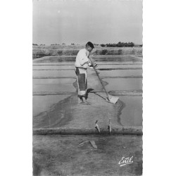 Photo Cpsm 17 ILE DE RE. Paludier dans les Marais Salants 1955