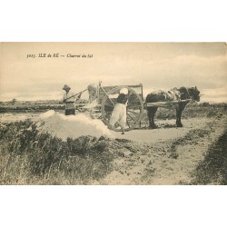 17 ILE DE RE. Charroi du Sel sur attelage par les Paludiers