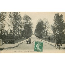 18 ARGENT SUR SAULDRE. Laitier ambulant avec voiture à Chien avenue des Acacias 1908