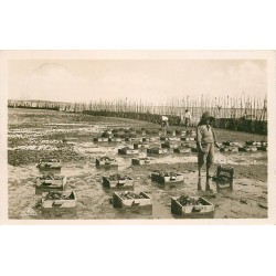 Photo Cpa 33 ARCACHON. LesCollecteurs et la Récolte Parc à Huîtres 1937