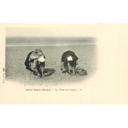 50 LE MONT SAINT-MICHEL. La Pêche des Coques vers 1900