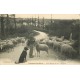 58 POUGUES-LES-EAUX. Jeune Berger et son " Mignon " avec moutons