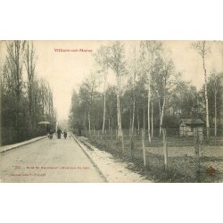 94 VILLIERS-SUR-MARNE. Animation avenue du Lac au Bois de Gaumont 1906