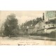 89 SEIGNELAY. Moulin du vieux Château animation 1905
