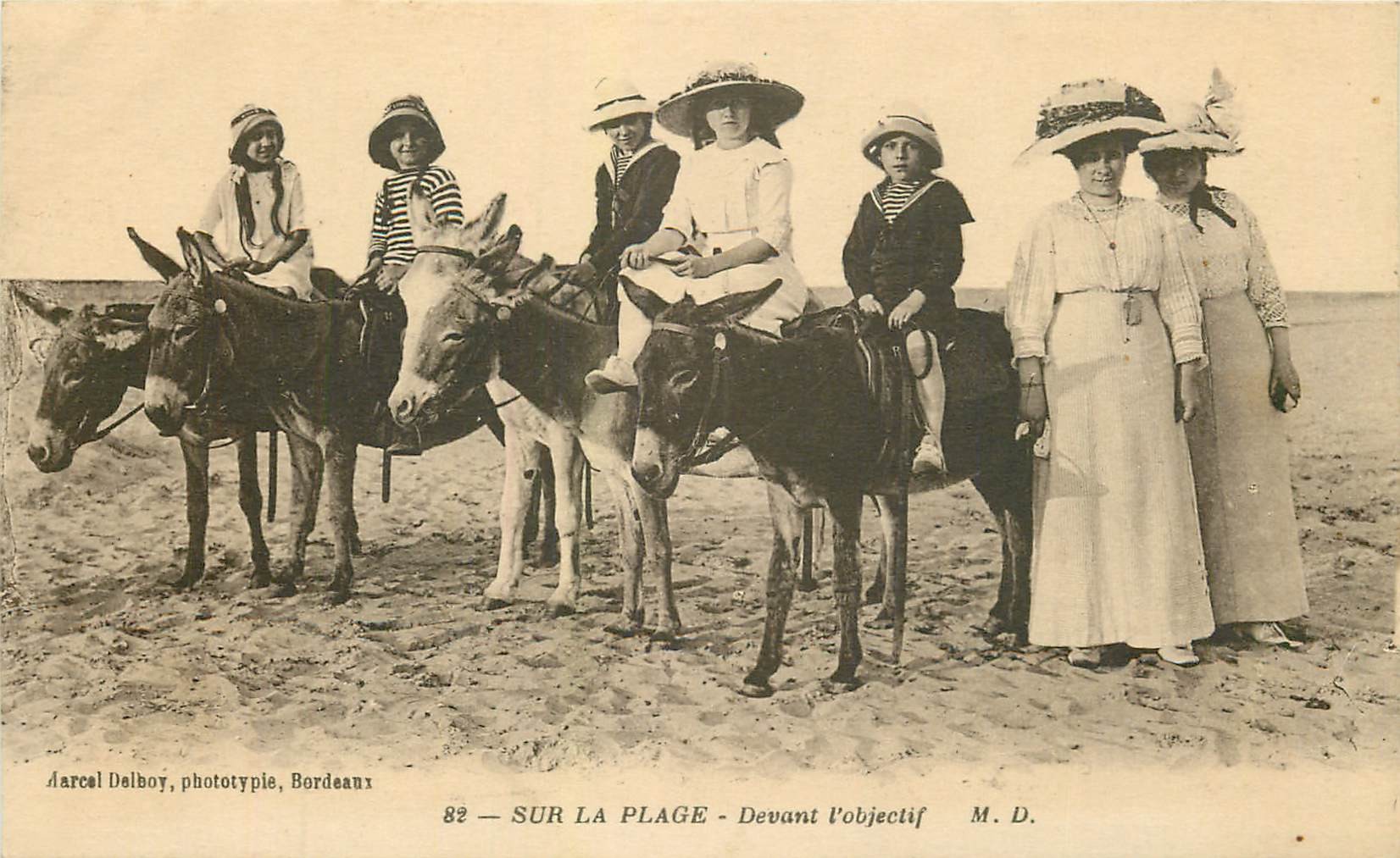 17 ROYAN. Une promenade sur la Plage à dos d'ânes et mules