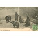 BERN BERNE. Alfe und junge Bären les Ours au Zoo 1908