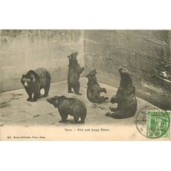 BERN BERNE. Alfe und junge Bären les Ours au Zoo 1908