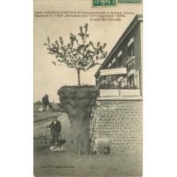 BELGIQUE. Hingene-Puurs Cam. Kegels-Costa's kriekappelboom in hollen trunk geplant 1911