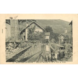 38 ALLEVARD-LES-BAINS. Attelage de Boeufs sur la Route de Moutaret et Tour du Treuil 1906