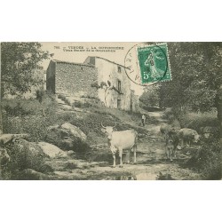 85 LA GUYONNIERE. Paysan et Vaches sur le Vieux Sentier de la Gouraudière 1908