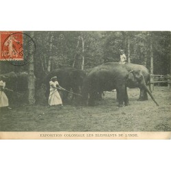 75 PARIS. Exposition Coloniale les Elephant de l'Inde 1907