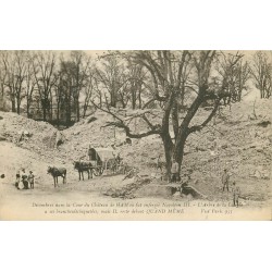 80 Château de HAM. Arbre de la Liberté dans les décombres