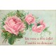 FLEURS. La Rose a son éclat, l'Amitié sa douceur 1907 carte gaufrée